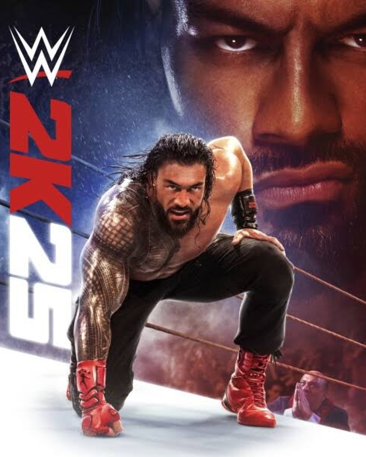 Wwe2k25